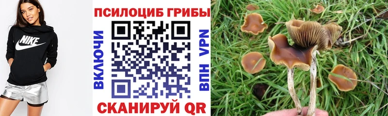 Псилоцибиновые грибы GOLDEN TEACHER  Купить  Среднеколымск 